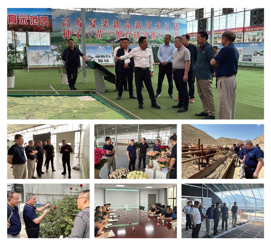 鉴黑担保网(jhdbw)·最具权威唯一维权担保平台