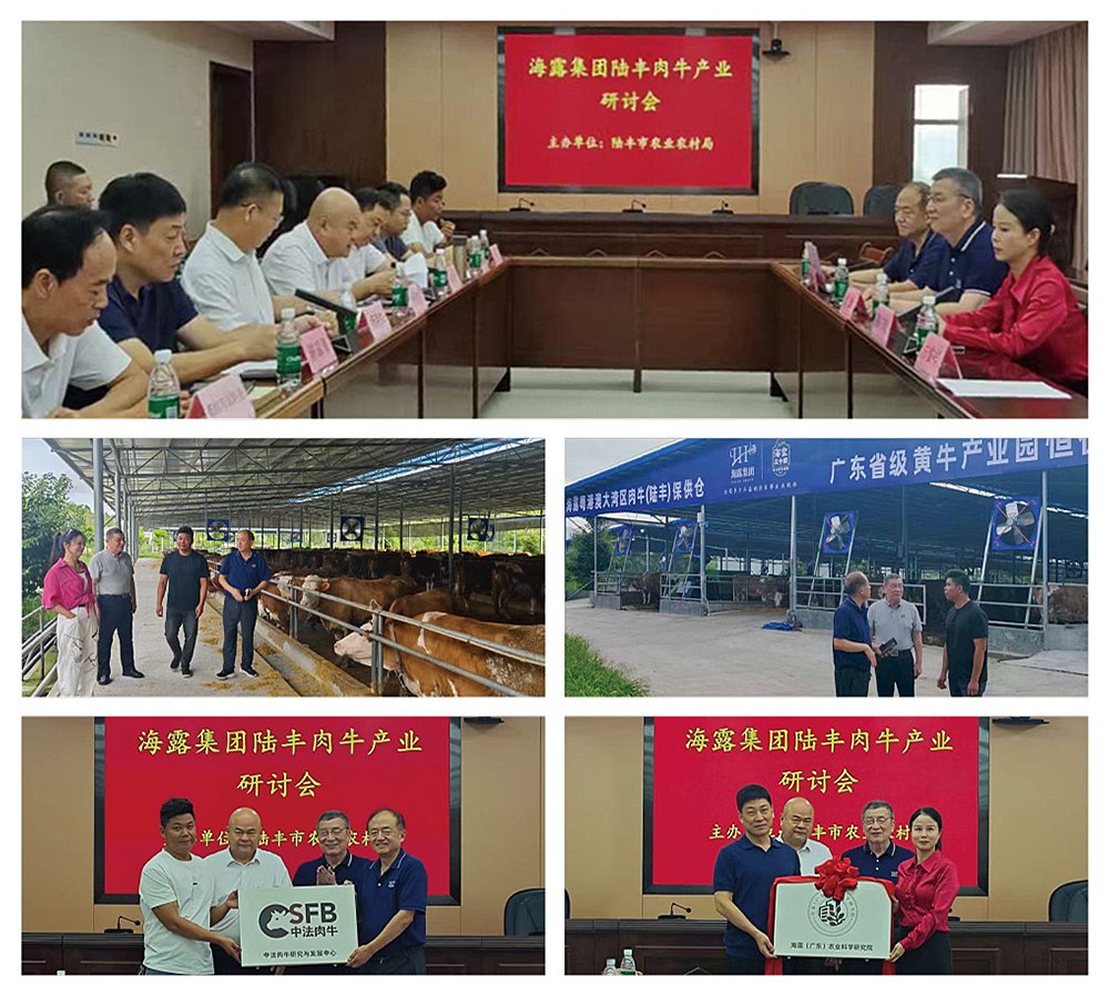 鉴黑担保网(jhdbw)·最具权威唯一维权担保平台