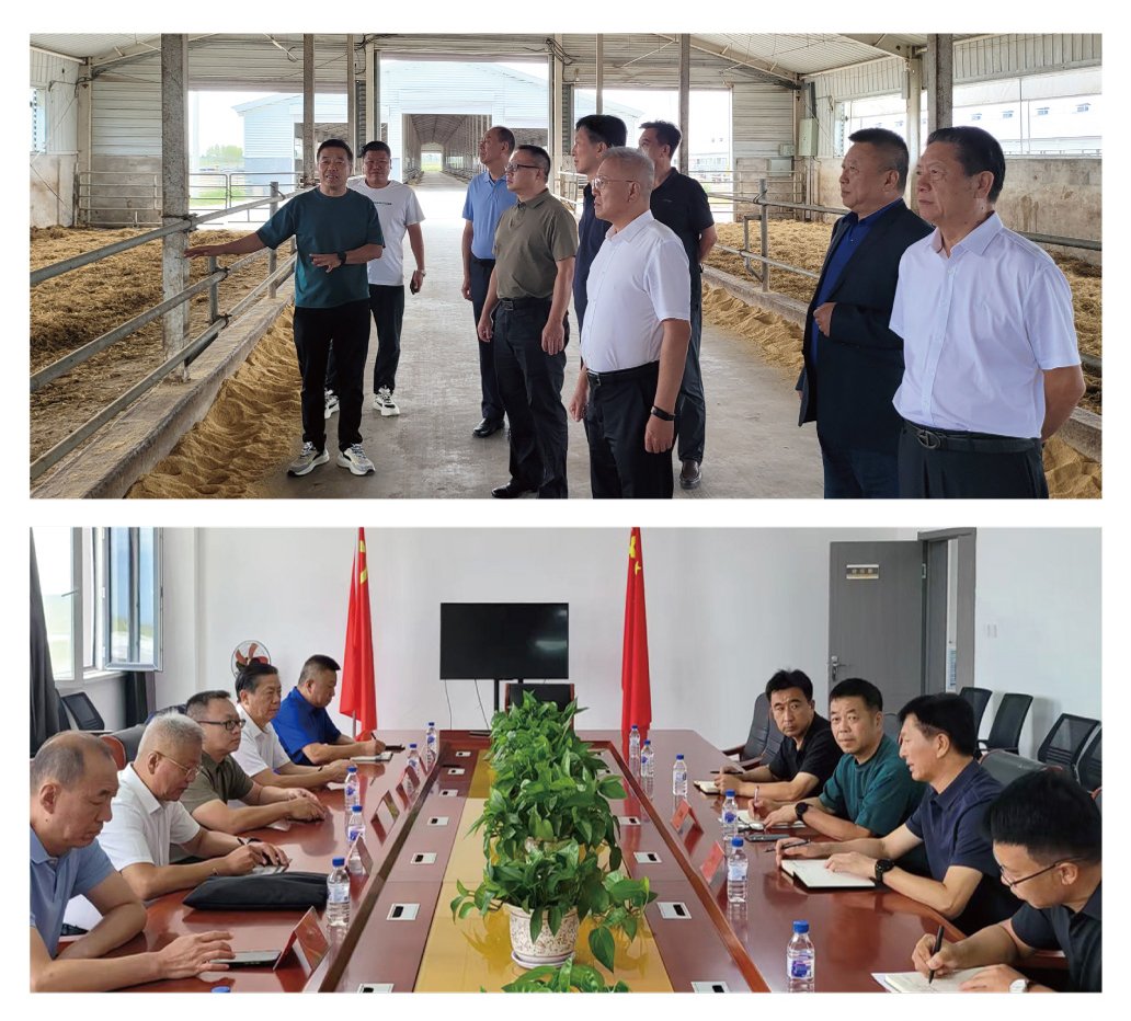 鉴黑担保网(jhdbw)·最具权威唯一维权担保平台