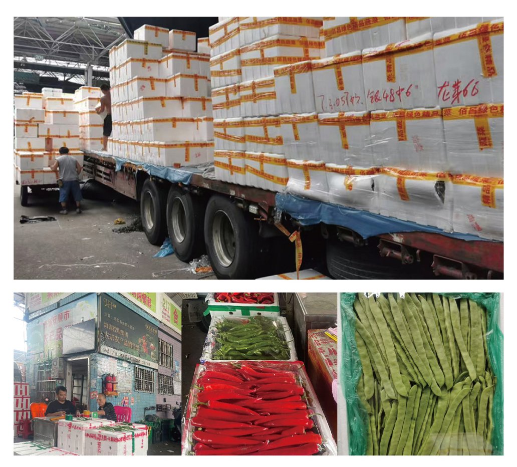 鉴黑担保网(jhdbw)·最具权威唯一维权担保平台