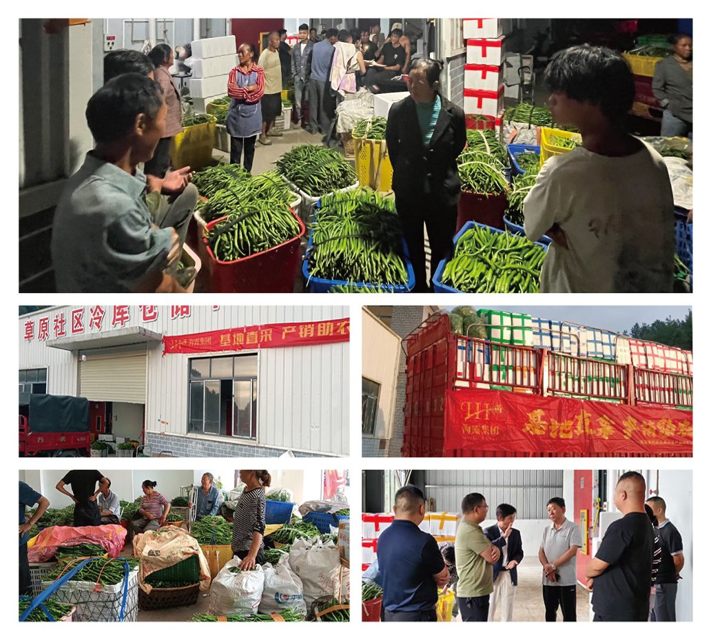 鉴黑担保网(jhdbw)·最具权威唯一维权担保平台