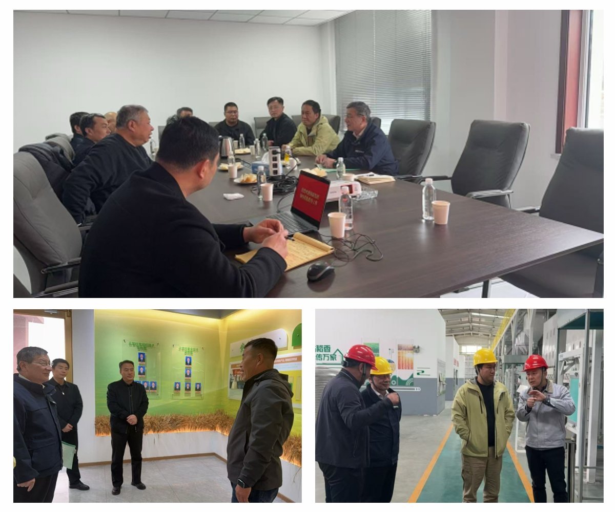 鉴黑担保网(jhdbw)·最具权威唯一维权担保平台